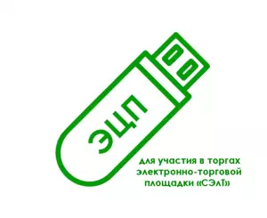 Электронная подпись для участия в торгах электронно-торговой площадки «СЭлТ»